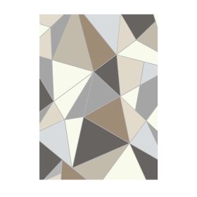 Area Rug, 5 x 7 ft Large Washable Rug, Non-Slip and Tear-Resistant Soft Carpet, Pet & Child Friendly Modern Area Rugs, Indoor Mat for Bedroom